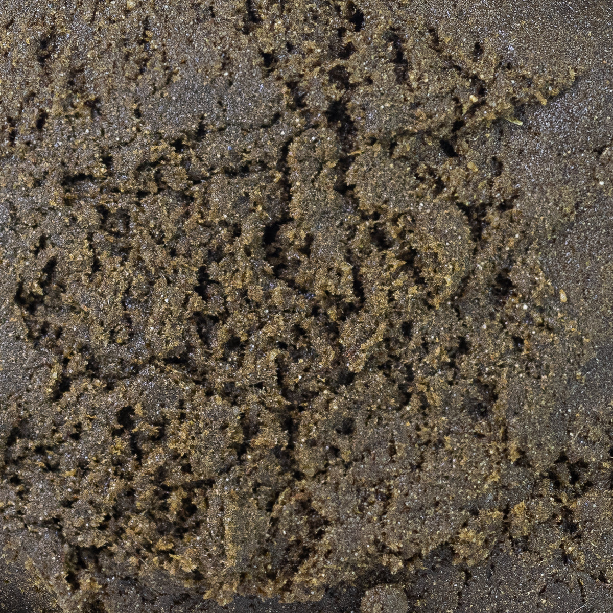 Light Charas 30, 2 Gram