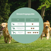 UC-II® för lederproblem, artros & inflammation - hund