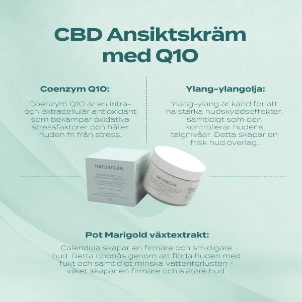CBD Ansiktskräm  Q10